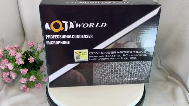 Micro Thu Âm AQ 210 - Micro Hát Karaoke - Livestream Cao Cấp + 12 Tháng BH topphukien22 | BigBuy360 - bigbuy360.vn