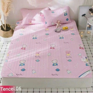 Chiếu điều hoà Tencel