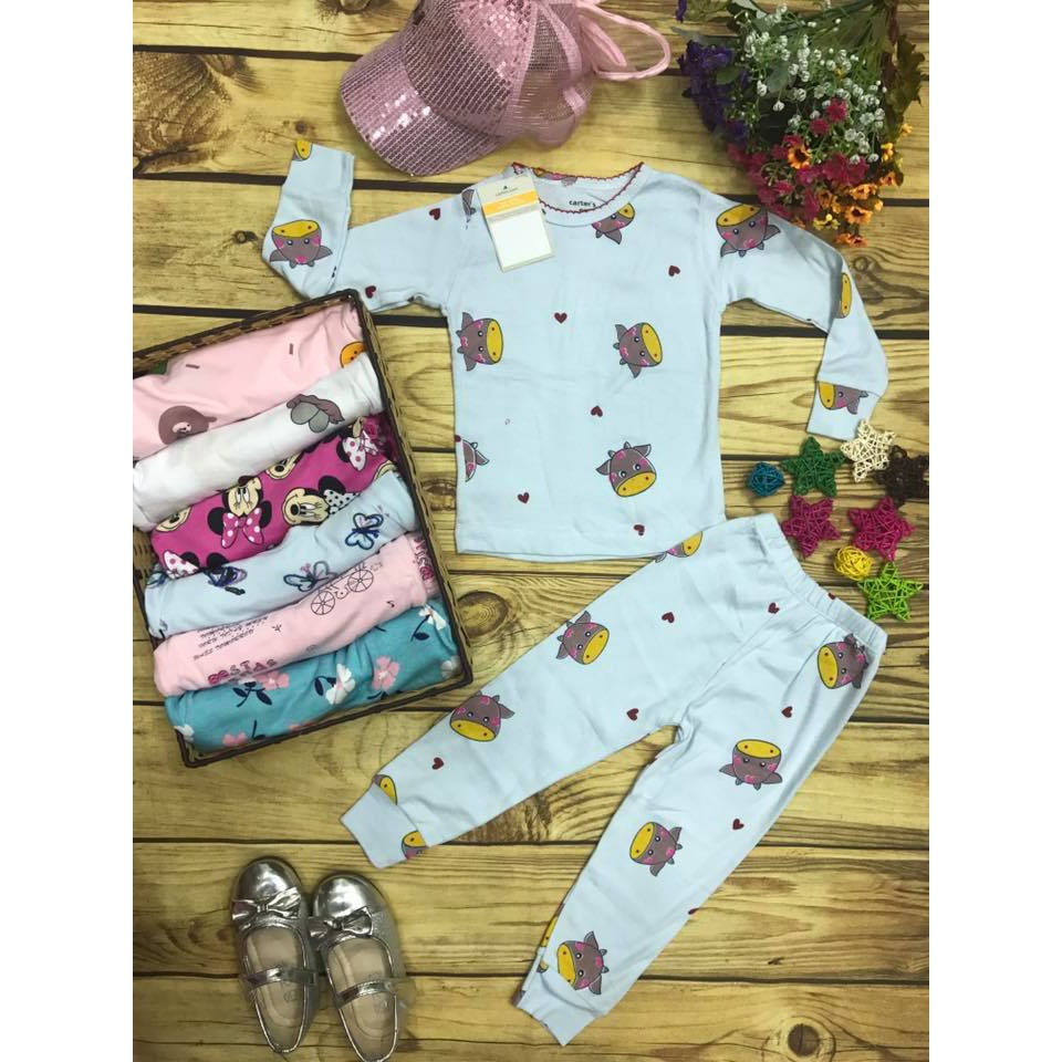 Bộ dài tay cho bé gái thun borip hàng Carter