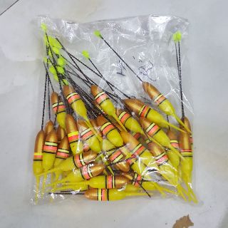 Phao điện đèn led câu đêm
