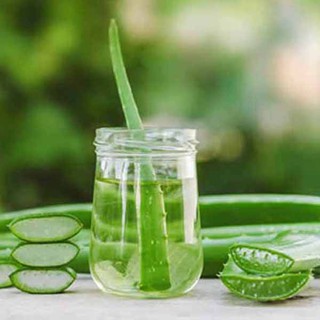 Bột Nha Đam Nguyên Chất