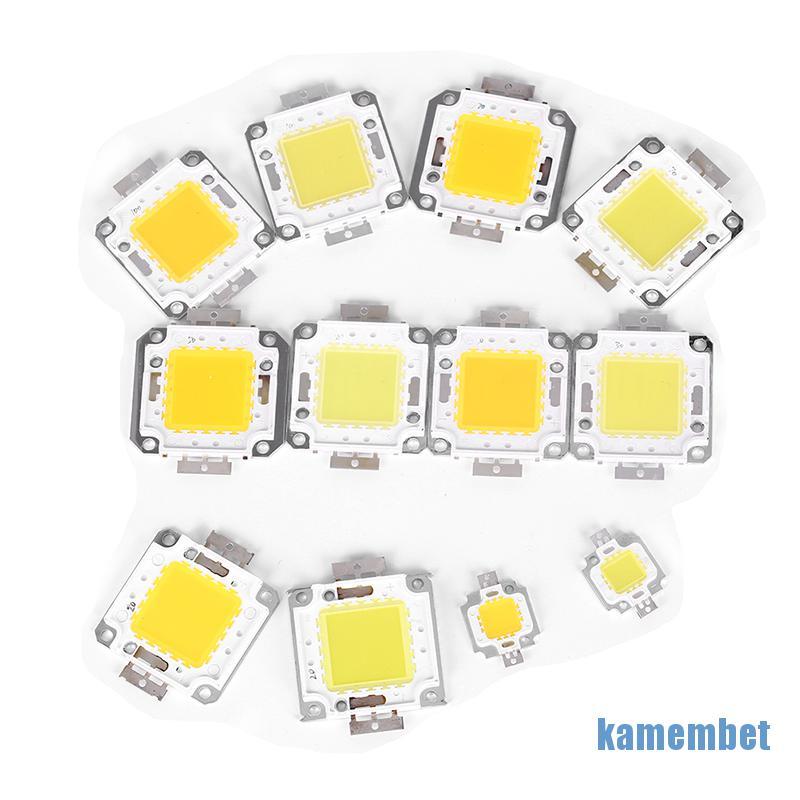 DC 1 Chip Đèn Led Cob 10w 20w 30w 50w 70w 100w 2 Màu