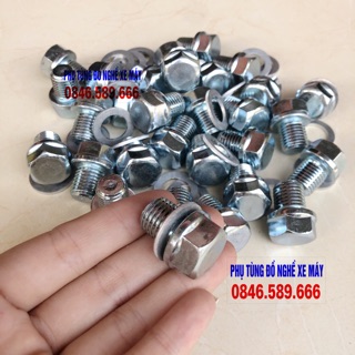 Taro Ốc Rốn Dầu