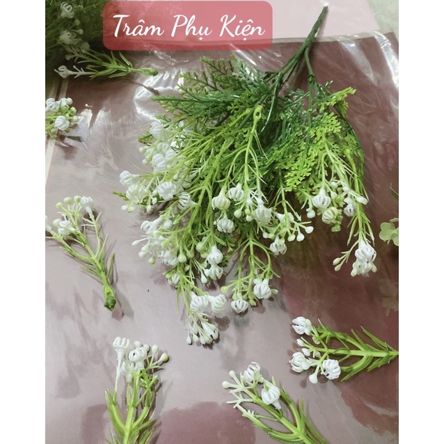 Sơn xịt màu cho hoa tươi, hoa sáp cao cấp 450ml giữ màu lâu ko săn cánh hoa