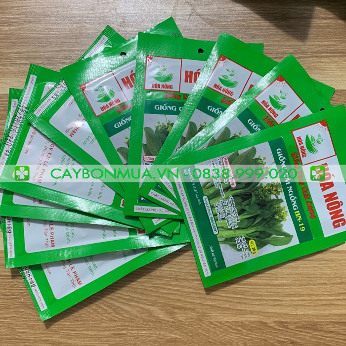 Hạt Giống Cải Ngồng HN-19 Gói 20g -[Siêu Nảy Mầm] - Giống Vàng Chất Lượng