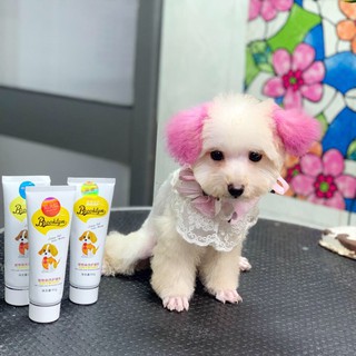 Nhuộm lông cho chó mèo BROOKLYN hàng chính hãng đậm đặc bền màu