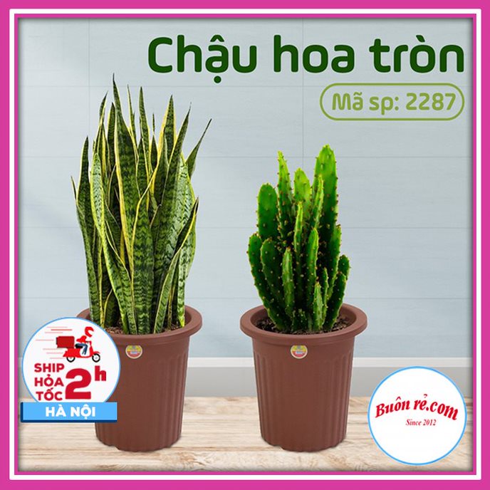 Chậu hoa tròn nhựa Việt Nhật (MS:2287) - Chậu cây trang trí tạo không gian xanh cho nhà cửa 01537
