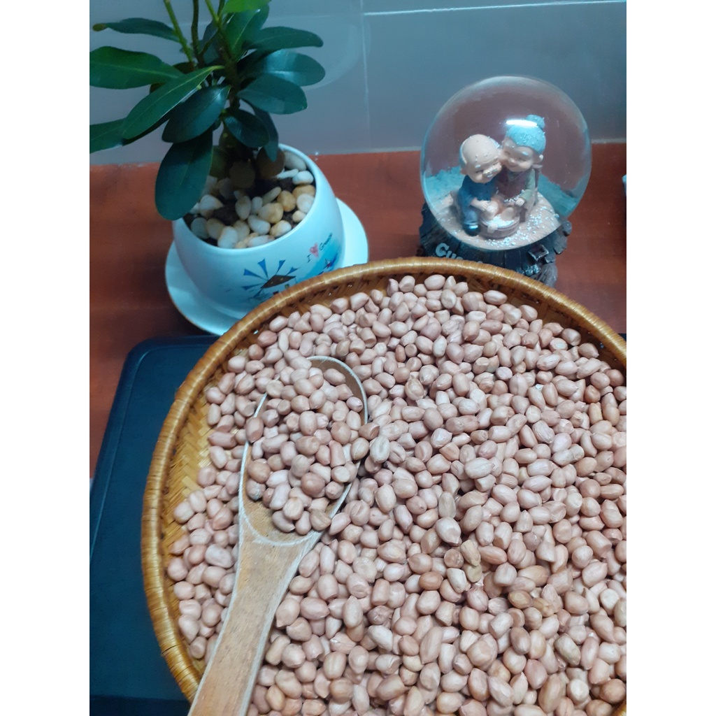 Đậu phộng quê hương