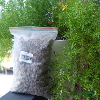 Đá Bọt Núi Lửa - Đá Pumice CATLEZA Trộn Đất Trồng Cây - Túi 1 Lít