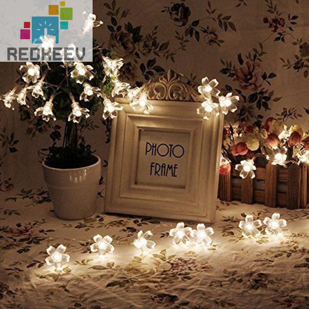 Dây đèn LED 20/50 bóng hình hoa anh đào sử dụng năng lượng mặt trời