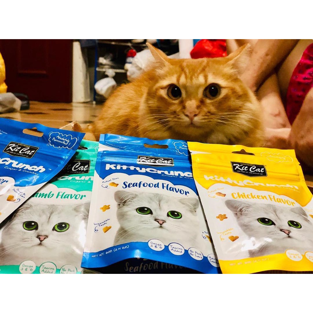 Bánh Thưởng Snack Giòn KITTY CRUNCH KIT CAT Ăn Vặt Cho Mèo - Gói 60gram