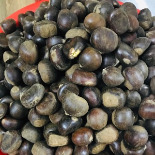 Hạt dẻ rừng (combo 5kg)
