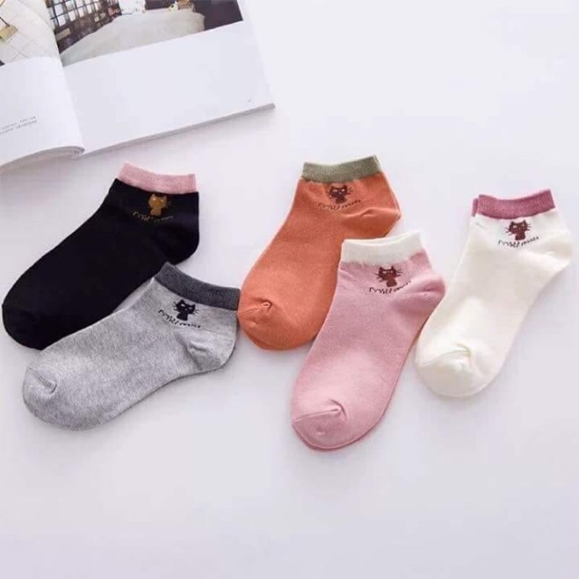 Sét 5 tất mèo đủ màu