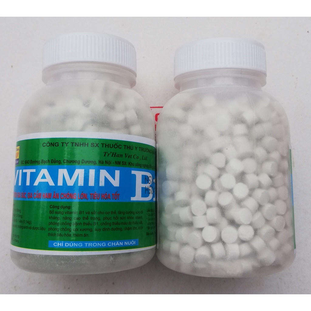 2 lọ Vitamin B1 & Fe 1200 viên Kích thích gia súc, gia cầm, chó, mèo ham ăn, chóng lớn, phòng ngừa t-iêu chảy