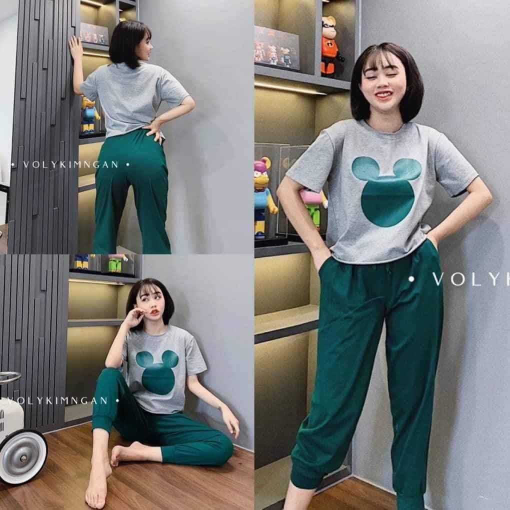 Đồ Bộ Thể Thao Cao Cấp, Thun Cotton 100%, 45kg đến 80kg vừa, mẫu P019 | BigBuy360 - bigbuy360.vn