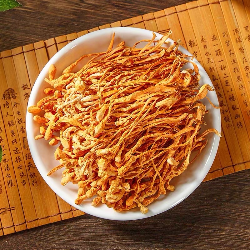 Nấm Đông trùng thảo