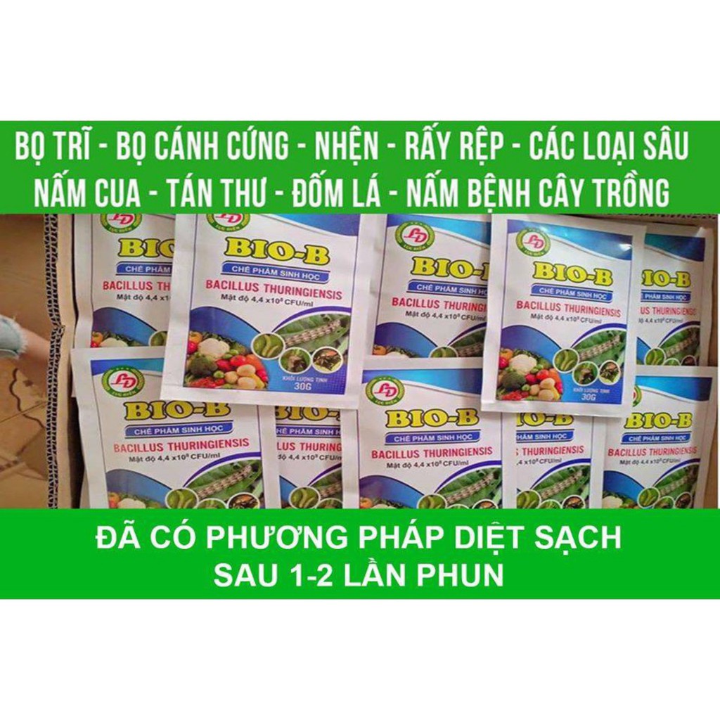 Chế phẩm vi sinh phòng diệt sâu, nhện đỏ, bọ trĩ, sùng đất... sinh học BIO-B