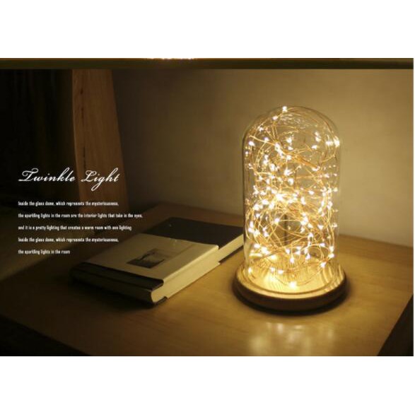 Dây Đèn Led Bằng Đồng 2M. 1M Trang Trí Bánh Kem Giáng Sinh
