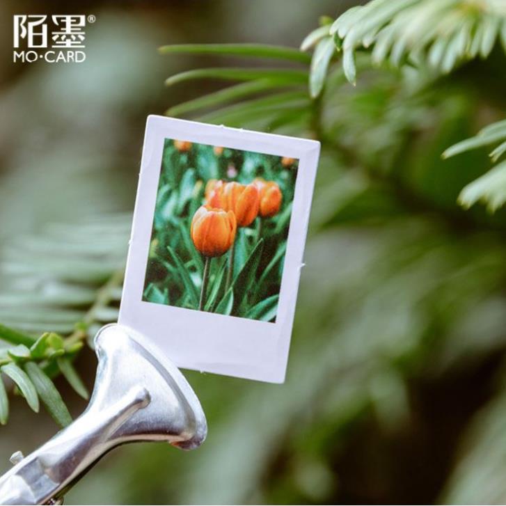 Bộ 46 Sticker Hoa Tulip Hà Lan E57