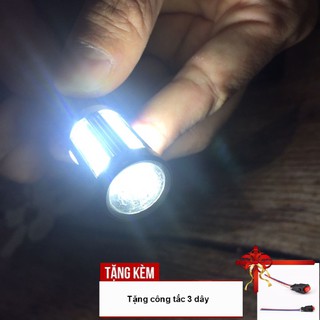 Đèn hậu lái chớp F1
