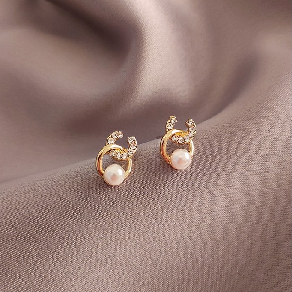 Đôi Khuyên Tai Xinh Xắn Thời Trang Cho Nữ