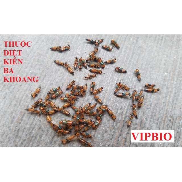 [COMBO]Thuốc diệt kiến, Thuốc diện gián sinh học VIPBIO, diệt kiến diệt gián tận gốc an toàn hiệu quả