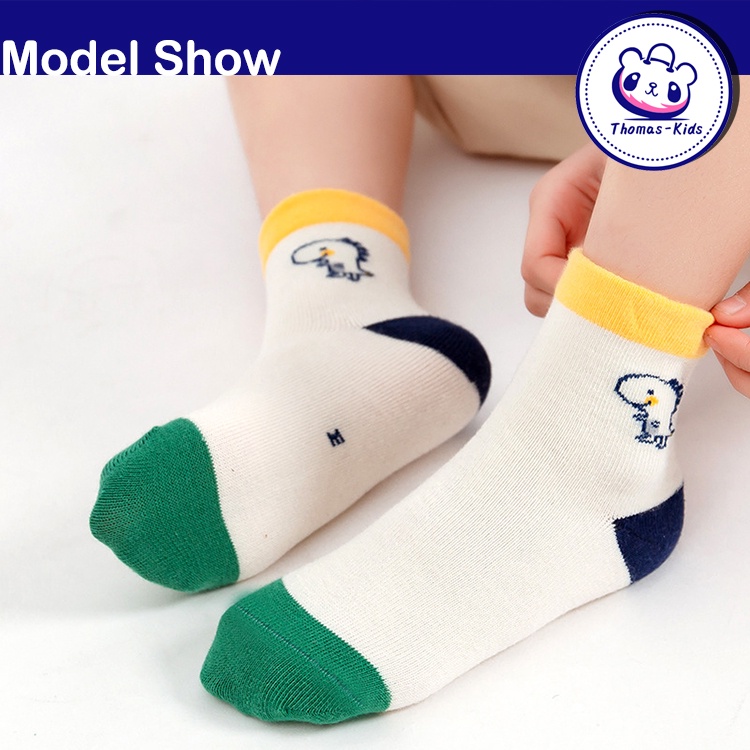 Set 5 Đôi Vớ Cotton Thấm Hút Mồ Hôi Thoáng Khí Họa Tiết Khủng Long Dành Cho Bé Trai 1-12 Tuổi