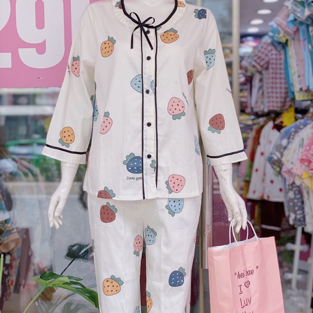 BỘ BÈO TAY DÀI QUẦN DÀI