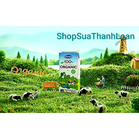 [HSD T8-2022] Thùng 48 Hộp Sữa Tươi Vinamilk 100% Organic Không Đường 180ml