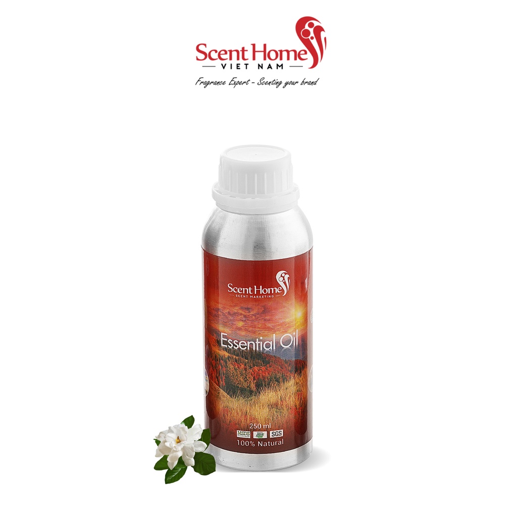 [Chính hãng] Tinh dầu JASMINE - Scent Homes (Hoa Nhài - 50ml, 100ml, 250ml)