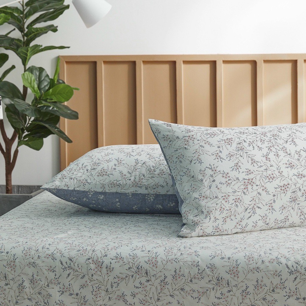TH SET ga gối cotton 100% nguyên chất (1 ga 2 vỏ gối)