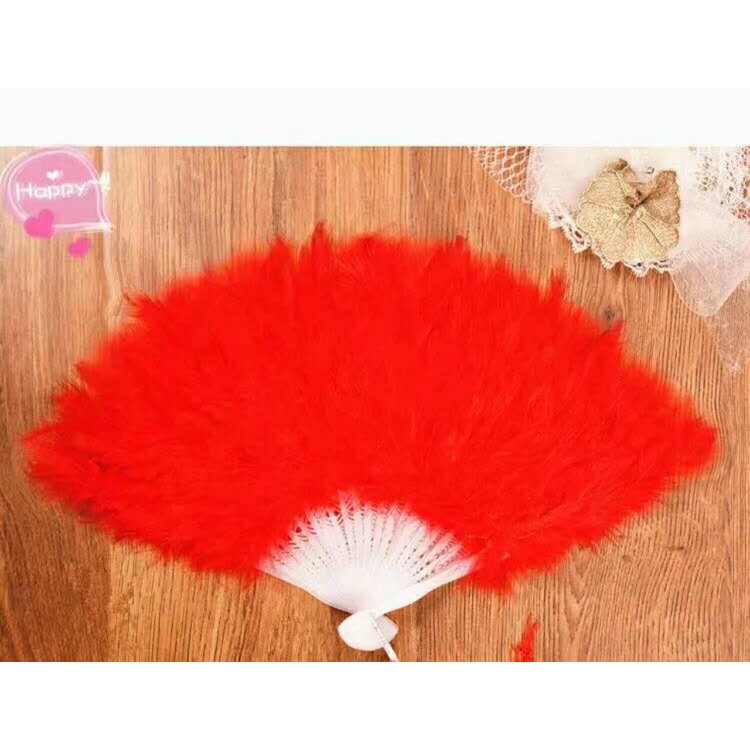 Quạt Lông Vũ Dùng Làm Đạo Cụ Chụp Ảnh Cho Người lớn Và Trẻ em