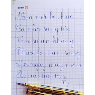 Bút mài Lê Ta 68 ngòi mài thanh đậm chuyên chữ chuẩn