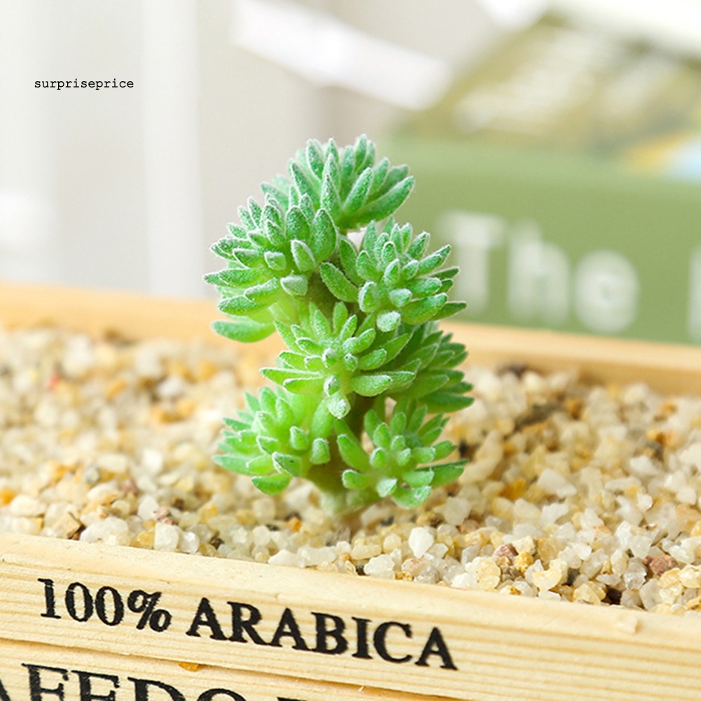 1 Cây Mọng Nước Nhân Tạo Dùng Cho Trang Trí