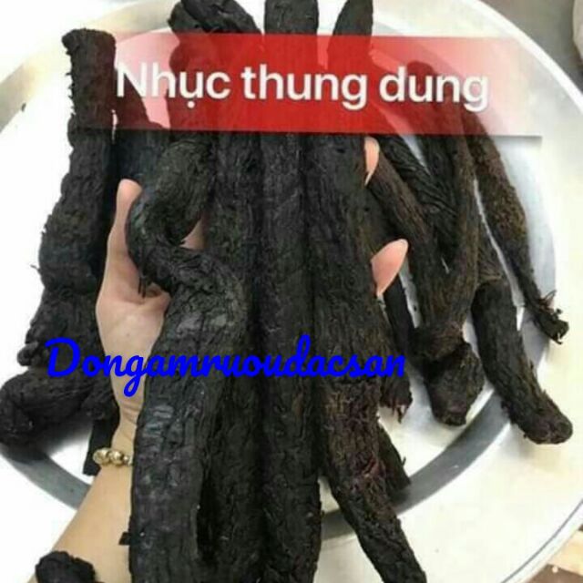 Nhục Thung Dung  khắc tinh yếu sinh lí