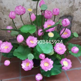 Hoa Sen Lụa Cao Cấp Truyền Thống Hà Nội Cao 75cm - Hoa Giả