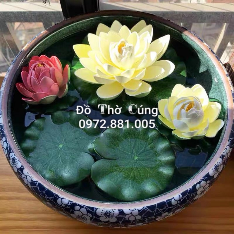 Hoa sen thả bể nước