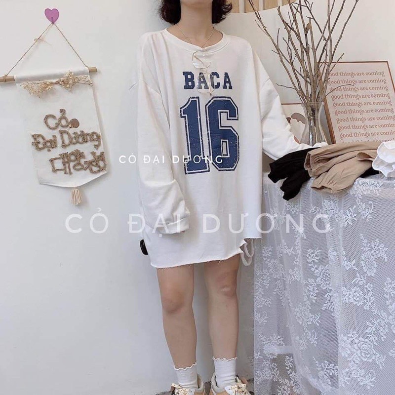 Áo thun sweater tay dài 16