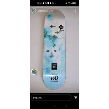 Ván skateboard giá rẻ hình mèo