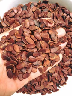 Hạt dưa rang tay không màu