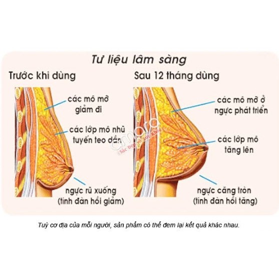 1kg BỘT NGŨ CỐC TĂNG VÒNG 1 VÀ ĐẸP DA | Thế Giới Skin Care