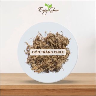 Dớn trắng Chi-lê nhập khẩu, đã qua xử lý, kháng khuẩn cao, dùng trồng lan, kiểng lá - túi 100gr
