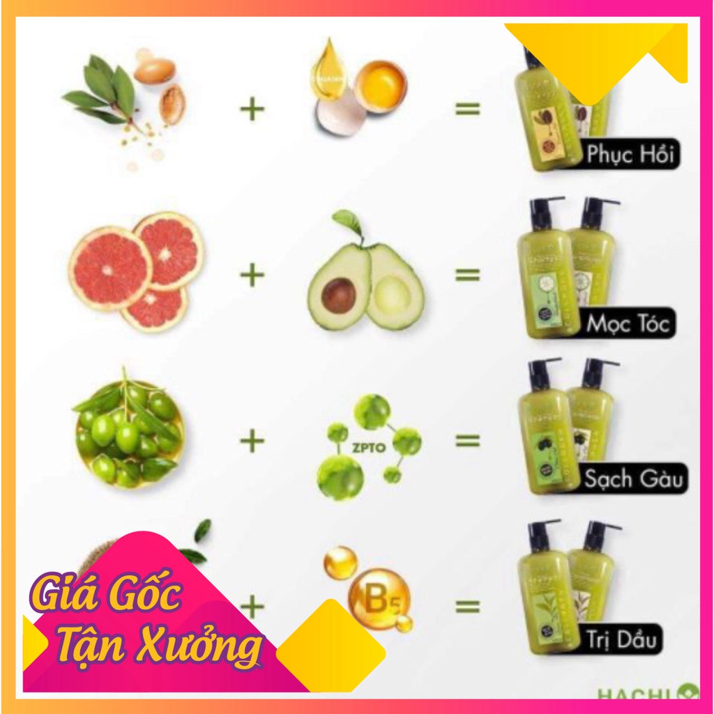 Combo dầu gội xả ARGAN Hachi dành cho tóc hư tổn [Chính Hãng] Cặp,bộ dầu gội xả Phục Hồi Tóc Khô Và Hử Tổn ARGAN