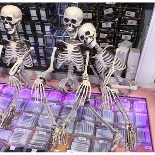 Bộ khung xương mô phỏng
