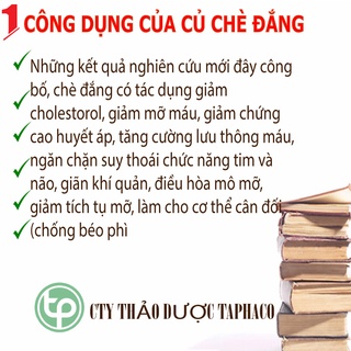 Chè đắng Cao Bằng Tấn Phát túi lớn loại 100g - Hàng sạch khô cao cấp