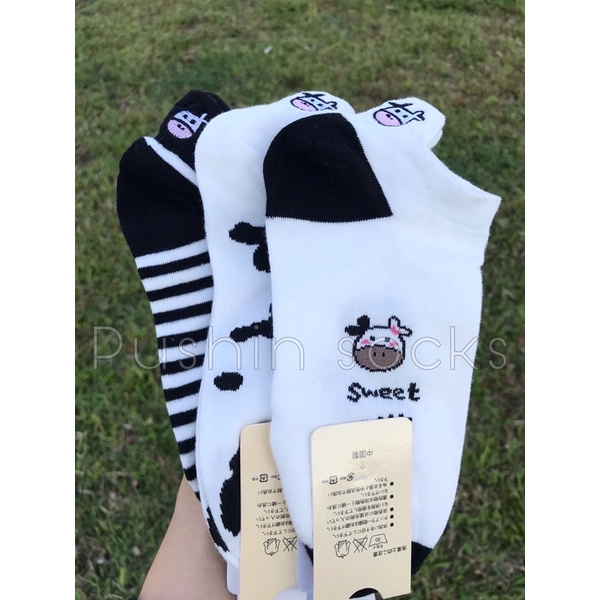 PUSHIN SOCK VỚ BÒ SỮA