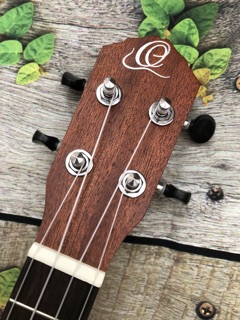 Đàn Ukulele Concert Oterga Gỗ Mahogany - CB2