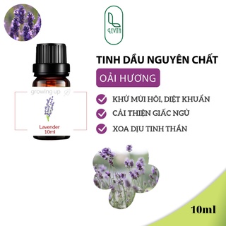 Tinh Dầu Thiên Nhiên Oải Hương 10ml - Nhập Khẩu - Thái Lan - Dùng đèn nến - máy xông - khuếch tán - thơm phòng - treo xe