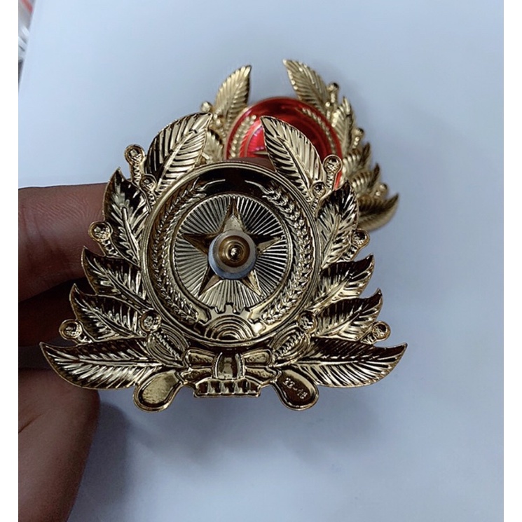 Sao nón bảo vệ _ huy hiệu