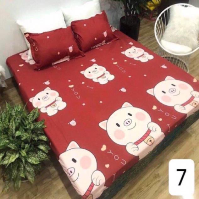 [Freeship 50k - Loại 1] Ga chống thấm cotton hàng siêu đẹp được chọn mẫu | BigBuy360 - bigbuy360.vn